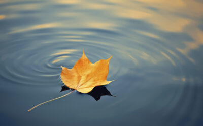 Navegar en otoño